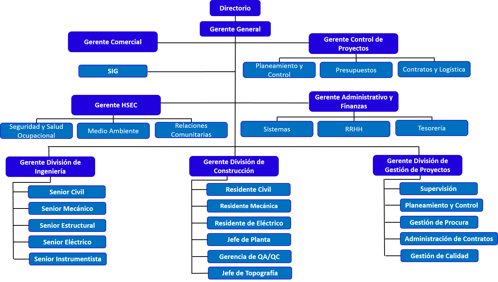 Tipos De Organigramas Organigrama Por Proyecto | Porn Sex Picture